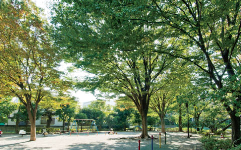 祖師谷三丁目公園